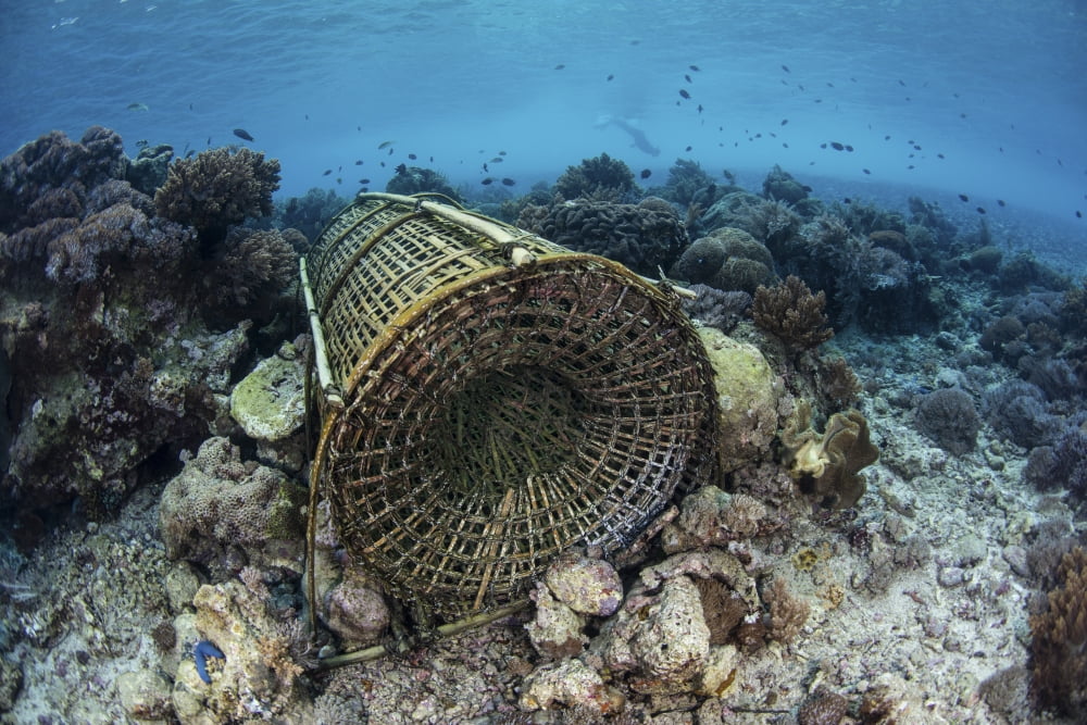 34 x 22 A traditional fish trap made out of bamboo in the waters off Indonesia Poster Print by Ethan DanielsStocktrek Images