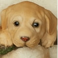 thumbnail image 4 of Adorable Trio of Labrador Puppies Dog on a Branch Wall Accent Golden Yellow, 4 of 5