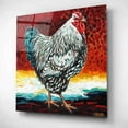 thumbnail image 2 of Epic Art 'Fancy Chicken I' by Carolee Vitaletti, Acrylic Glass Wall Art, 12"x12", 2 of 8