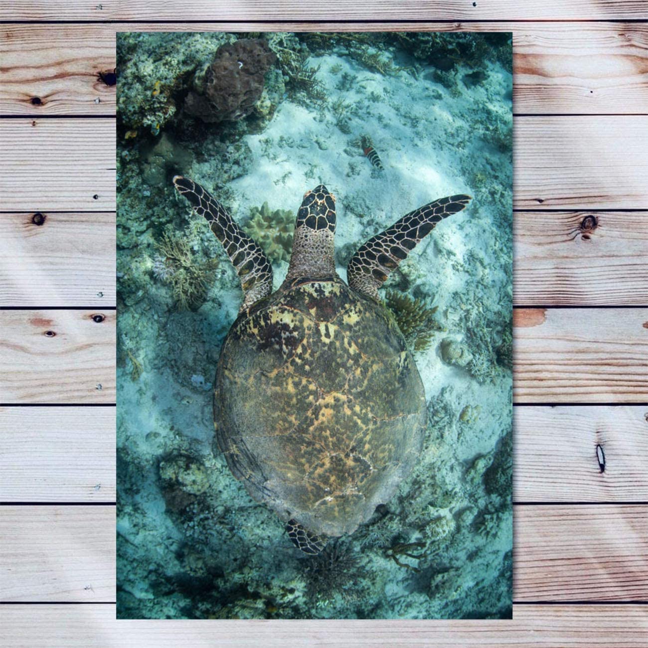 Turtle Canvas Wall Art For Living Room Modern Artwork Hawksbill Sea