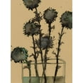thumbnail image 2 of Dixon, Samuel 12x14 White Modern Wood Framed Museum Art Print Titled - Dry Stems II, 2 of 4