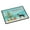 Multicolored, variant on Carolines Treasures CK3869MAT Shepherd Pit Mix 1 Christmas Tree Door Mat Indoor Rug or Outdoor Welcome Mat 18x27 Doormat
