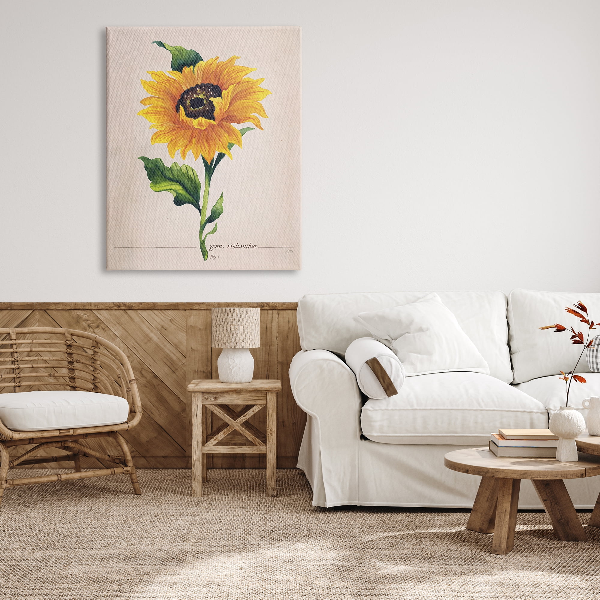 Stupell Industries Single Sunflower Blossom Genus Name Study Page Graphic Art Gallery Wrapped Canvas Print Wall Art, Design by Elizabeth Medley