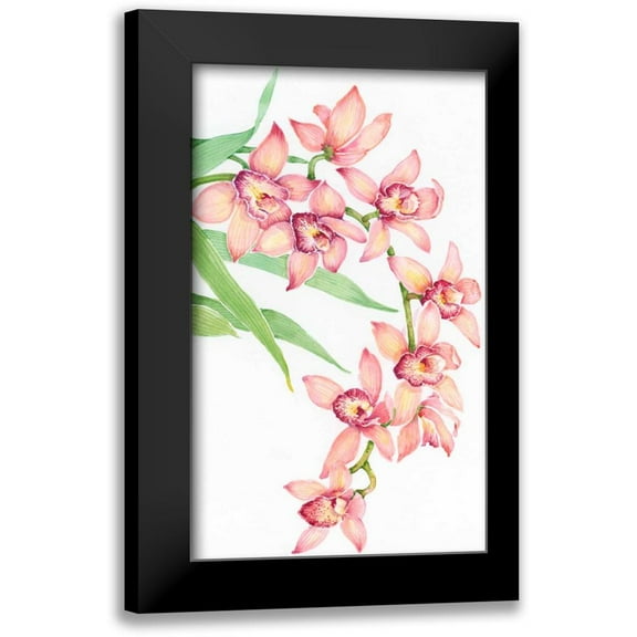 OToole, Tim 10x14 Black Modern Framed Museum Art Print Titled - Exotic Flowers III