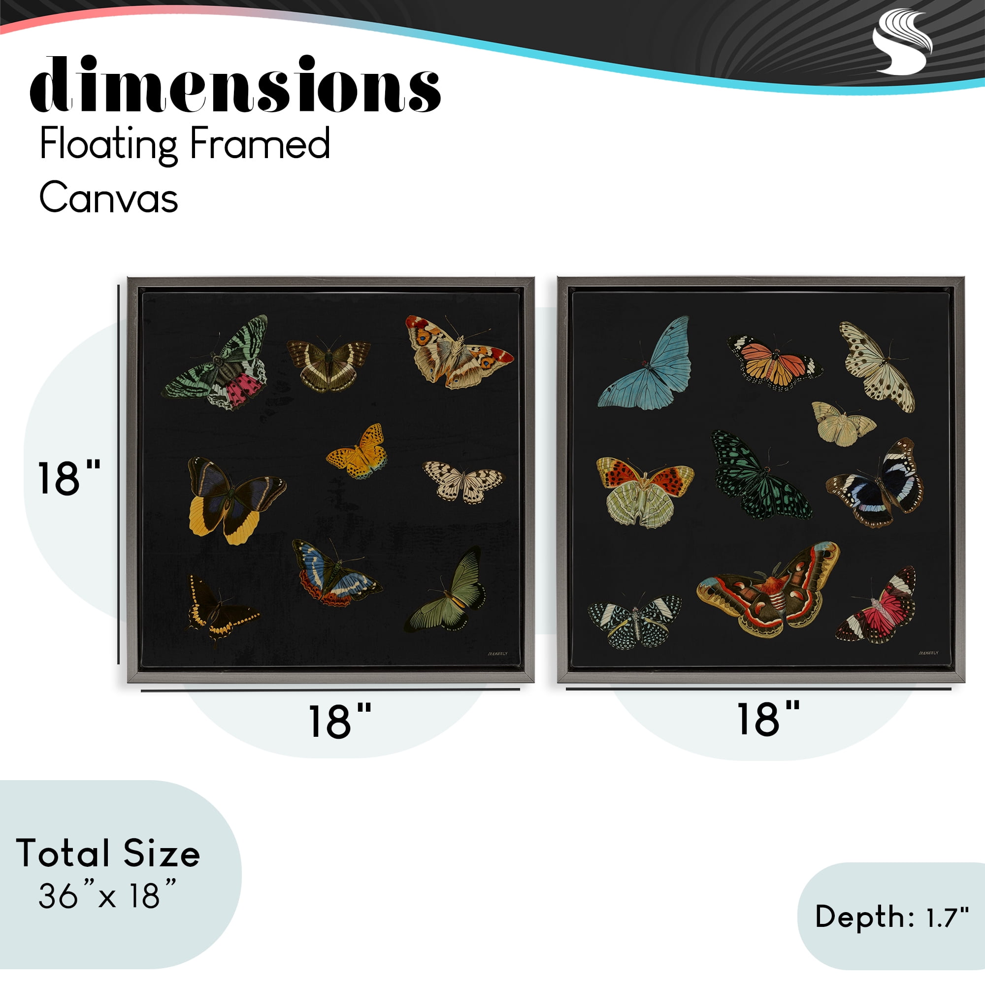 Stupell Industries Entomology Collection on Black 2 Piece Gray Framed Floater Canvas Set, design by Dan Meneely