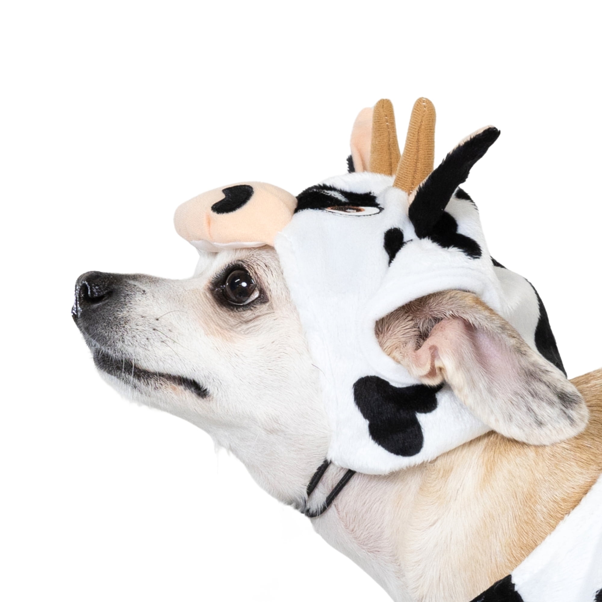 Vibrant Life Halloween Costume for Dogs & Cats, Cow, Black & White, Small