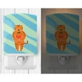 thumbnail image 2 of Caroline's Treasures BB6779CNL Tiger Ceramic Night Light, 6x4x3", multicolor, 2 of 2