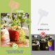 thumbnail image 4 of Etiquetas para plantas VITEVER de plástico tipo T impermeables (100 unidades), 4 of 7