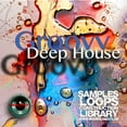 thumbnail image 6 of Deep House MEGA Bundle Part 1 - 10 Large Essential WAVE Samples/Loop Studio Libraries. Download library!, 6 of 11
