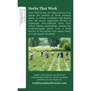 Traditional Medicinals Tea, Organic Raspberry Leaf, Tea Bags, 16 Count