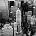 thumbnail image 2 of Telik, Tracey 20x20 White Modern Wood Framed Museum Art Print Titled - Fifth Ave NYC, 2 of 4