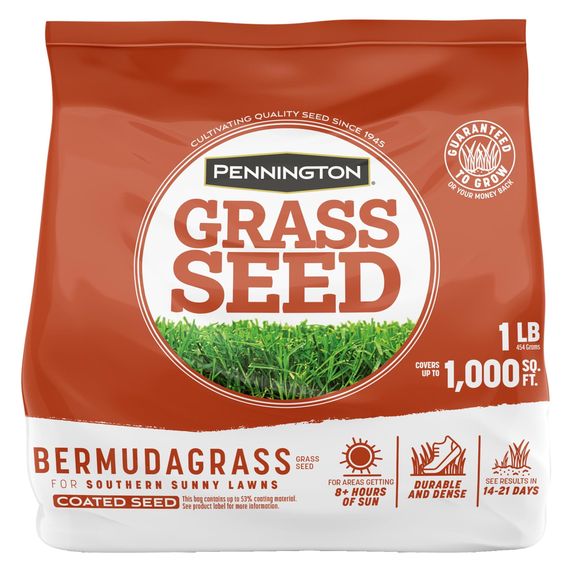 (3 pack) Pennington Bermudagrass Grass Seeds for Full Sun Lawn, Grass Seed, 1 lb
