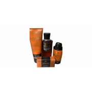 Bath & Body Works Mahogany Teakwood 4-Piece Gift Bag Set