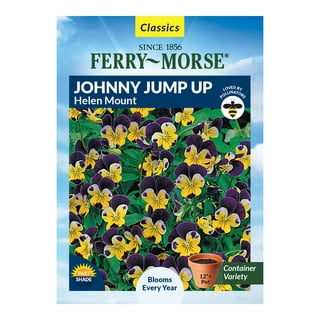  Outsidepride 5000 Seeds Perennial Viola Johnny Jump Up Flower  Seeds for Planting : Baby