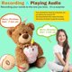 thumbnail image 3 of Musical Happy Birthday Teddy Bear with Glowing Cupcake, Animated Plush Toy Singing Dancing Talking Plush Bear Repeating, 3 of 4