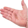 thumbnail image 3 of PowerBait® Pre-Rigged Atomic Teasers, 3 of 4