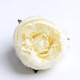 thumbnail image 3 of 10 piezas de cabezas de flores de peonía de seda para decoración del hogar, bodas y fiestas. crema, 3 of 9