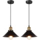 thumbnail image 1 of 2X Lámpara colgante retro de diseño industrial, lámpara de techo Edison, lámpara colgante de metal E27, 22 cm (paquete de 2 en negro), 1 of 5