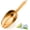 Gold, variant on Leonyo 6 Oz Ice Scoop for Freezer, Small Stainless Steel Food Scooper Shovel for Kitchen Ice Cube Machine Buckets, Wedding, Bar Party, Store Popcorn, Candy – Silver
