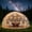 9.8 x 6FT, variant on ICEEIF Garden Dome Tent, Outdoor Bubble Tent TPU Greenhouse for 2-6 Persons, 360° Clear View Geodesic Igloo Dome with 2 Ventilated Windows, Backyard Camping Party Shelter, 9.8 x 6 FT