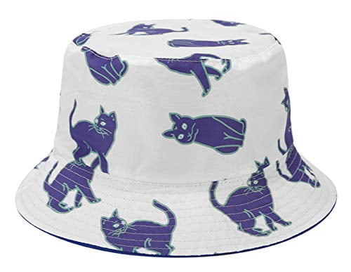 bucket hat cat
