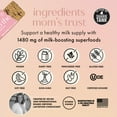 thumbnail image 4 of Boobie Superfood Breastfeeding Bars Supporting a Healthy Milk Supply, Variety Pack, (1.7 Ounce Bar, 6 Count), 4 of 16