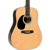 Rogue RG-624 Left-Handed Dreadnought Acoustic Guitar Level 2 Natural 190839248138