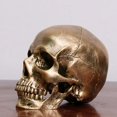 thumbnail image 1 of Crâne en Résine en Bronze Humain Modèle Médical Halloween Réaliste 1 1 Statue Déco, 1 of 6