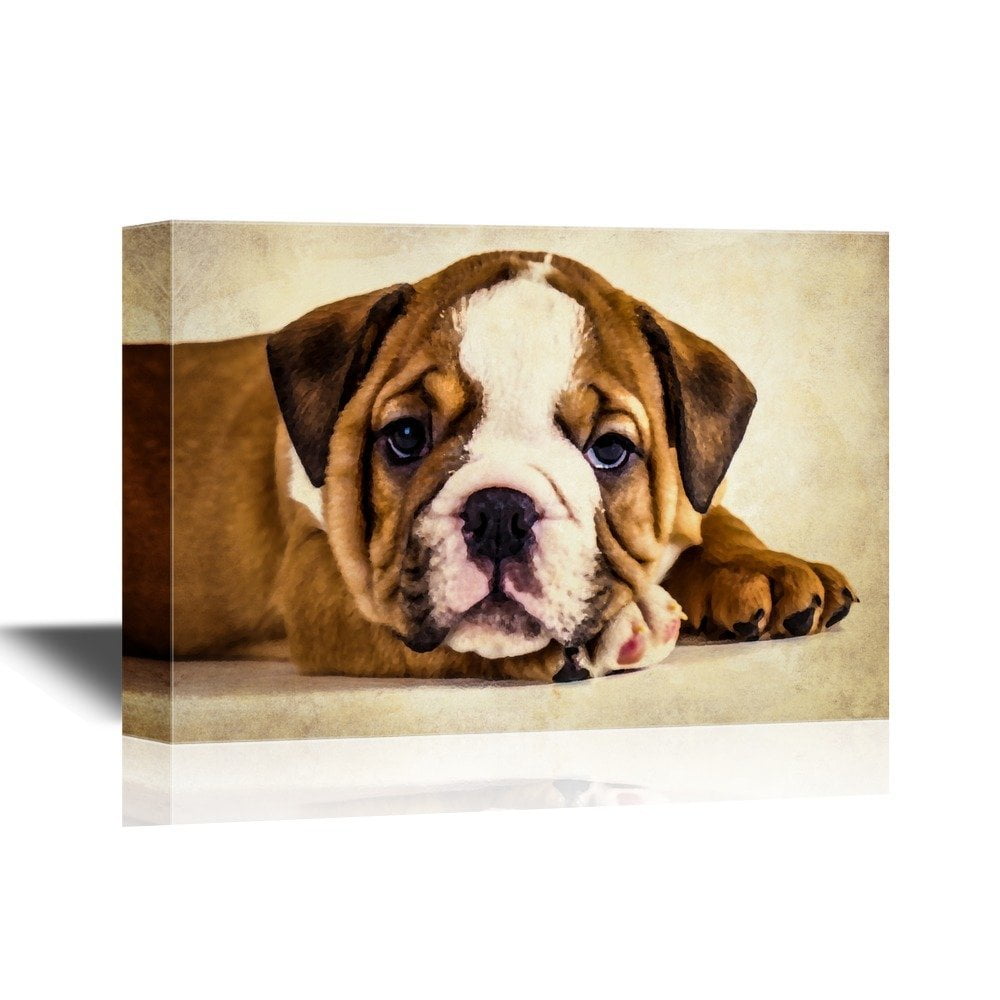wall26 Dogs Breeds Canvas Wall Art English Bulldog Puppy Gallery