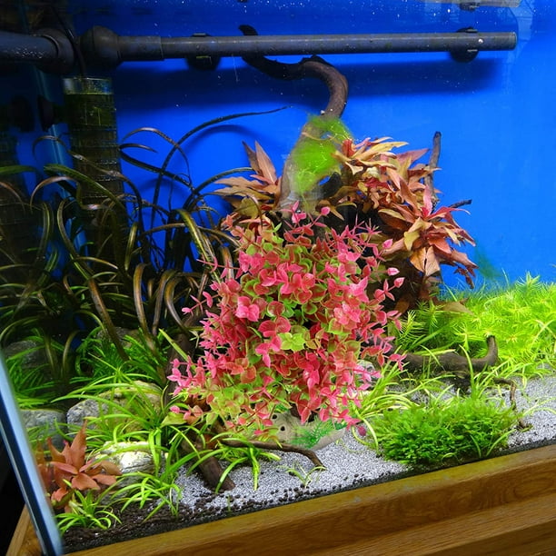Large Aquarium Artificial Plants, Plastic Aquatic Plants Decoration, 12  Inch Fish Tank Underwater Water Plants Ornaments (1-Wine red) 
