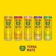 thumbnail image 3 of Guayakí Yerba Mate, Organic Sparkling Classic Gold, 80mg Natural Plant Based Caffeine, Smooth Energy & Focus, Carbonated, 12 Oz (Pack of 12), 3 of 5