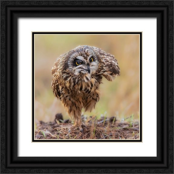 Taksing 12x12 Black Ornate Wood Framed with Double Matting Museum Art Print Titled - N/A