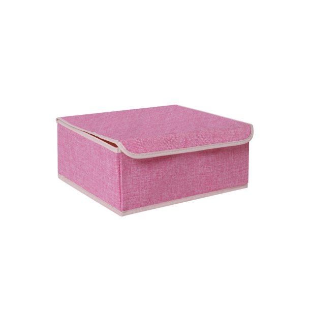 Naiovety Caja de almacenamiento de ropa interior para el hogar, armario, ropa, sujetador, organizador, compartimentos, cajas con cubierta Almacenamiento y organización del hogar 13 cuadrícula/Rosa