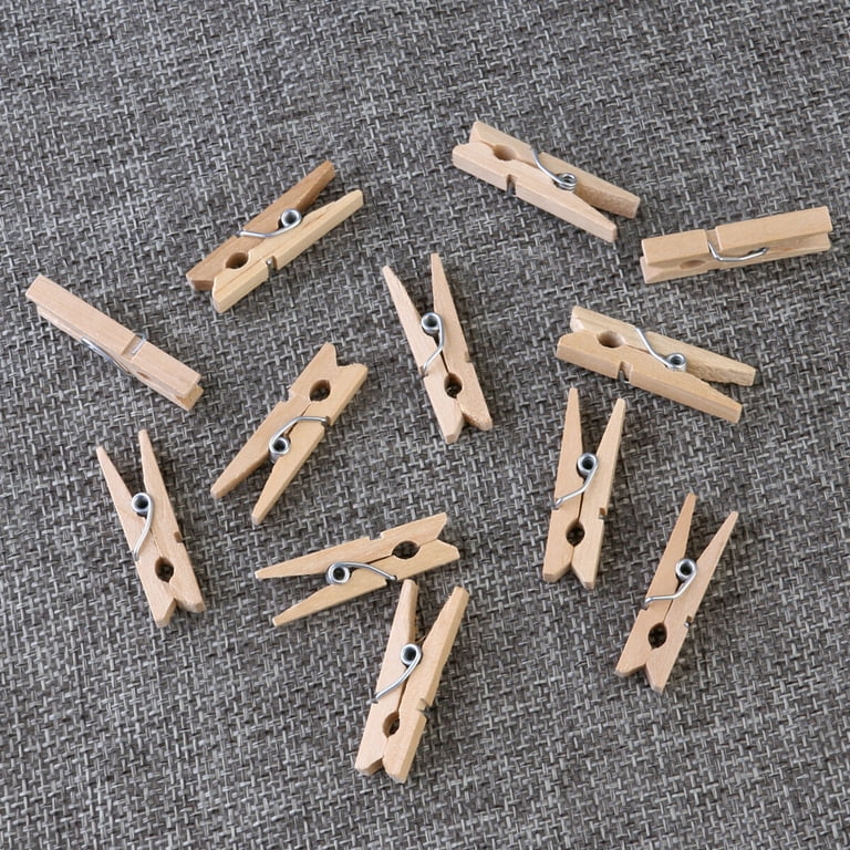 Clothes Pins Wooden Pegs Spring Hinged Clips Crafts Display 40