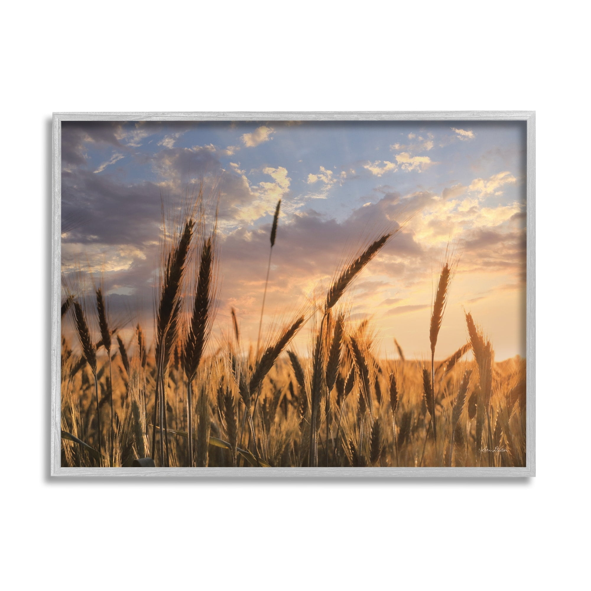 Stupell Industries Countryside Wheat Field Farmland Cloudy Sunset Sky Photography Gray Framed Art Print Wall Art, 14x11, by Lori Deiter