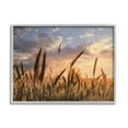 thumbnail image 2 of Stupell Industries Countryside Wheat Field Farmland Cloudy Sunset Sky, 20 x 16, Design by Lori Deiter, 2 of 5