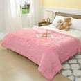 thumbnail image 5 of DweIke Shaggy Throw Blanket with Sherpa Warm Underside,Super Soft Cozy Large Plush Fuzzy Blanket,50"x60",Pink, 5 of 7