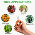 thumbnail image 5 of GROWNEER 3 Packs Pruning Shears Gardening Hand Pruning Snips with Straight Stainless Steel Precision Blades, 5 of 7