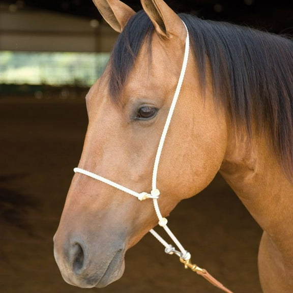 Martin Saddlery Headsetter with Rope Nose