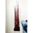 thumbnail image 5 of Green Floral Craft | 90-100 Stem Dried Asian Willow Decorative Branches 4-5 Feet Tall Floor Vase Filler (Wine Red), 5 of 5