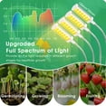 thumbnail image 7 of YANSUN 4 Head 96W Grow Lights Full Spectrum Plant Grow Light with Timer for Seedlings Adjustable Goose neck & Desk Clip On, 4 Switch Modes 10 Brightness Levels with Planting Tools, 7 of 7