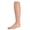 Honey, variant on Girls Essential Sheer Nylon Tights - Girls - Female, 10-12, Ivory