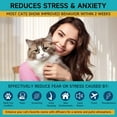 thumbnail image 3 of Cat Calming Diffuser 6-Piece Kit: 2 Plug-Ins + 4×48ml Refills, 120-Day Stress Relief Suitable for multi-cat homes; ensures 120 days of continuous comfort., 3 of 8
