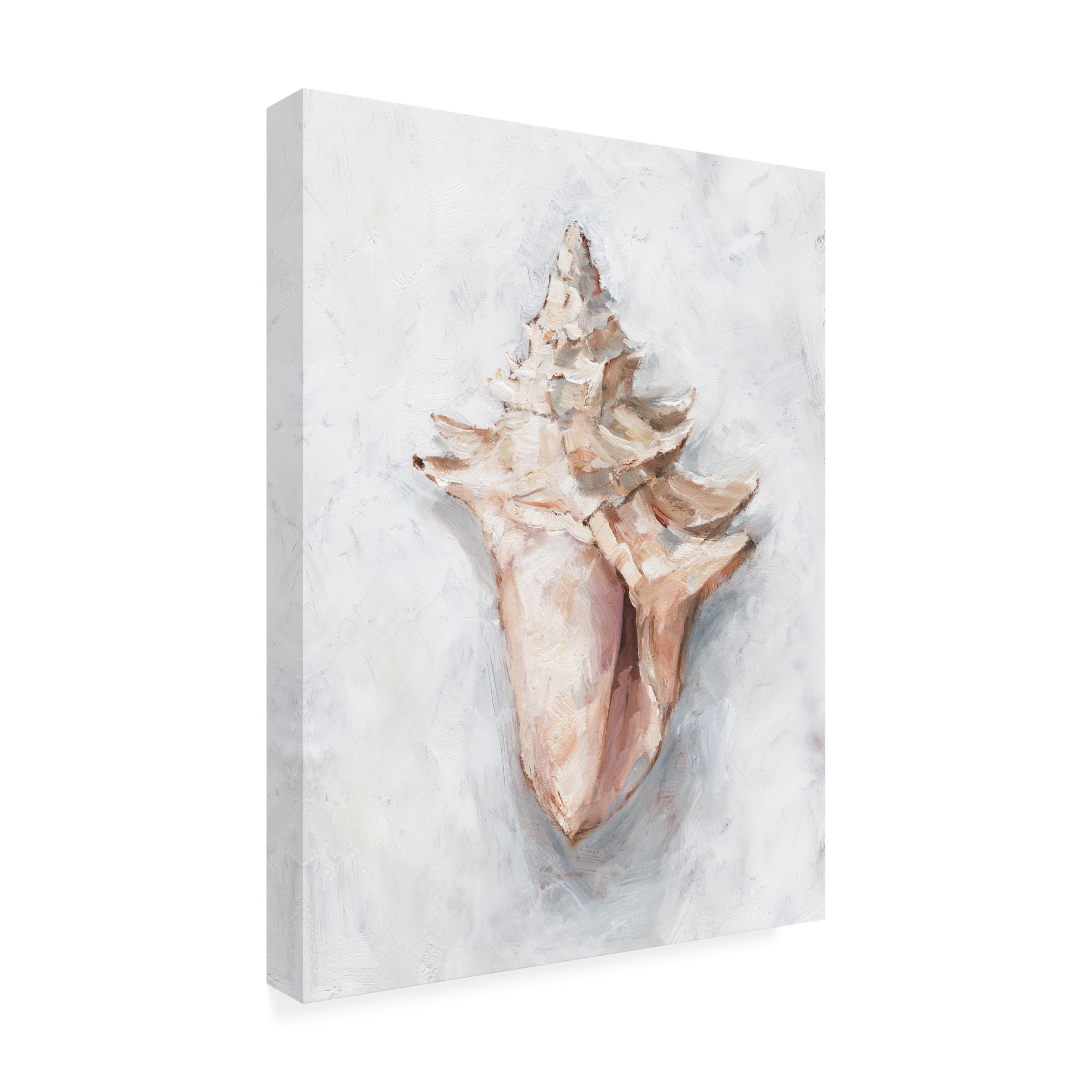 Ethan Harper 'White Shell Study I' Canvas Art