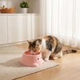 thumbnail image 4 of Elevated Pet Bowl for Cats and Small Dogs, 15° Tilted Cat Food Bowl for Neck Protection, Raised Anti-Tip Single Feeding & Water Bowl, Pet Supplies for Indoor Cats Pink, 4 of 5