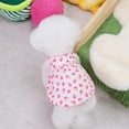 thumbnail image 3 of Adorable Pet Clothes for Cats & Small Dogs - Charming Spring & Autumn Wear Pet Dress, 3 of 7