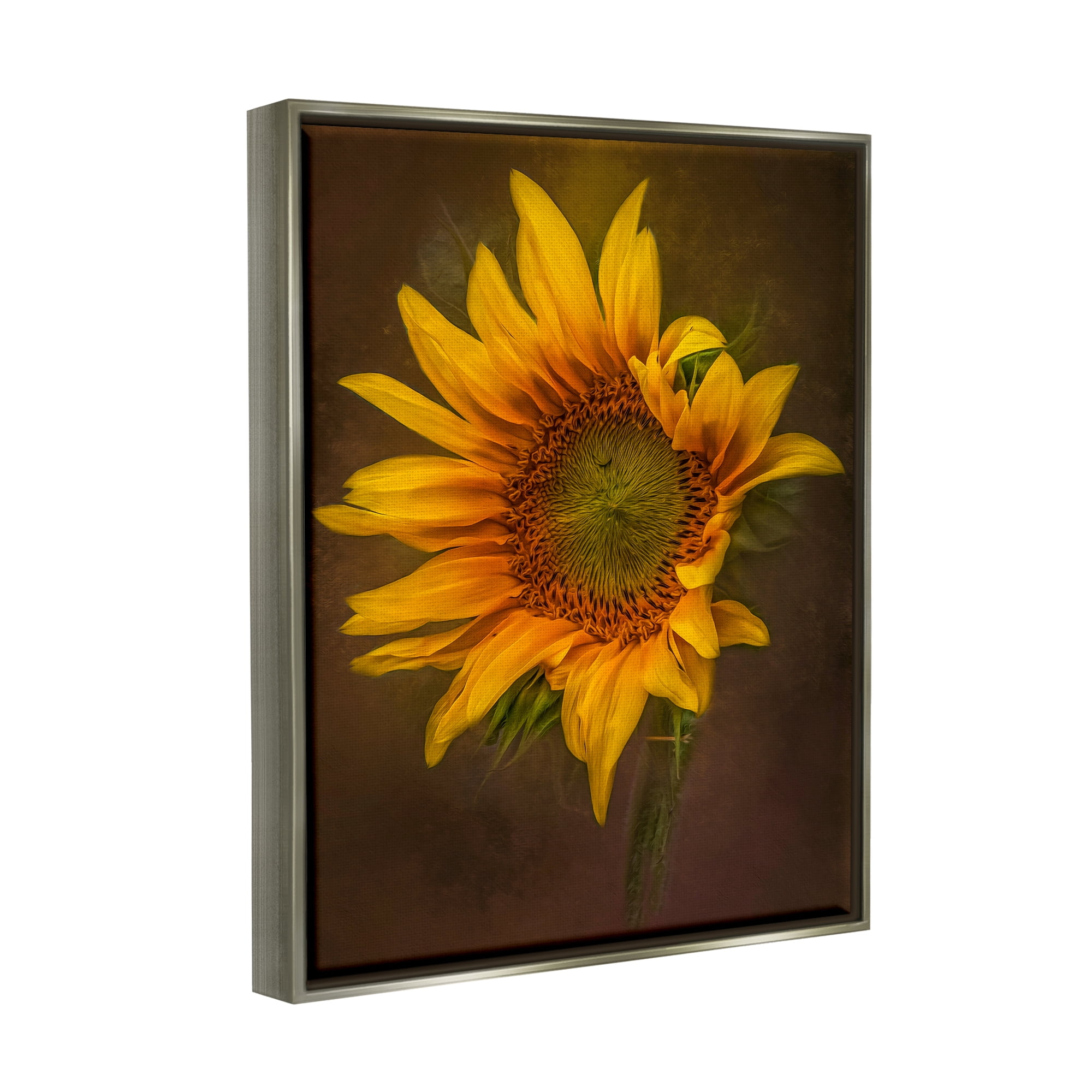 Stupell Industries Modern Detailed Sunflower Petals Botanical & Floral Painting Gray Floater Framed Art Print Wall Art