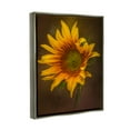 thumbnail image 3 of Stupell Industries Modern Detailed Sunflower Petals Botanical & Floral Painting Gray Floater Framed Art Print Wall Art, 3 of 6