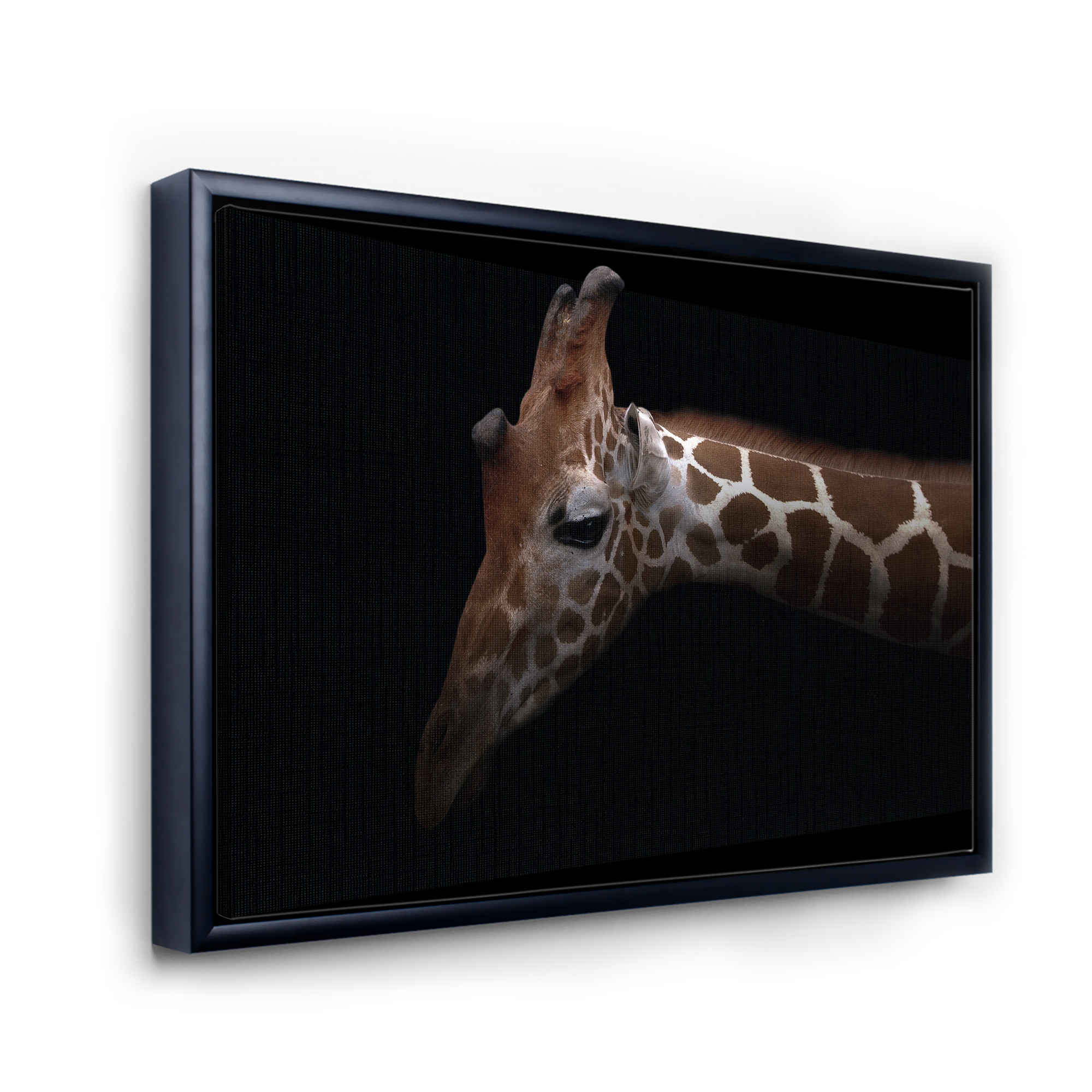 Close Up Portrait of A Giraffe VIII 20 in x 12 in Framed Photography Canvas Art Print, by Designart