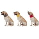 thumbnail image 5 of Bufanda de invierno reversible para perros, cómoda y elegante, tamaño XL en color amarillo. Diseñada con acabado suave y cálido, ideal para mantener a tu mascota abrigada en interiores y exteriores., 5 of 6